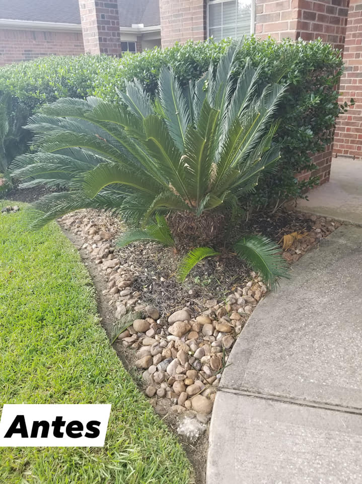 Paisaje 1 (duplicado)