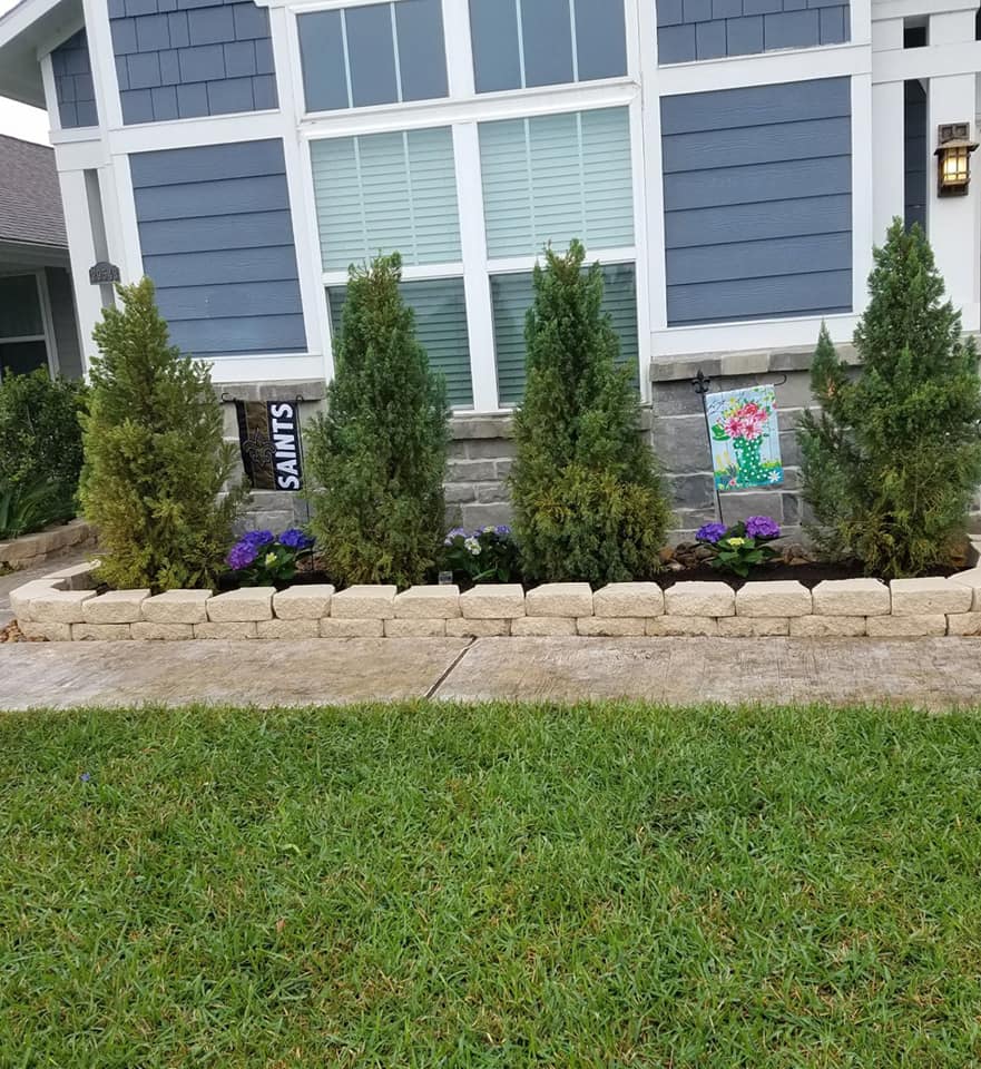 Abstracto 4 (duplicado)