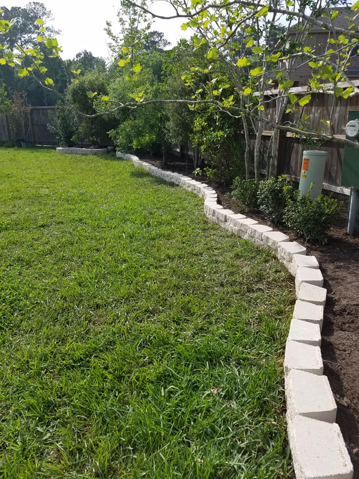 Naturaleza 3 (duplicado)