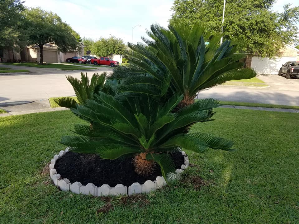 Abstracto 4 (duplicado)